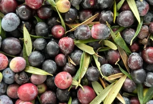 diet inflammation for delicious foods to reduce inflammation and pain