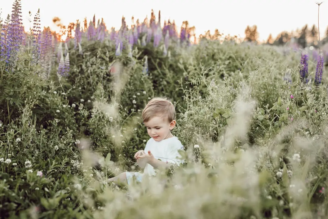 discovering for unlocking zzz's: discovering the best cbd brand for sleep