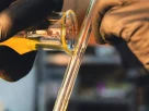 dosage for cbd tincture for beginners: a complete review