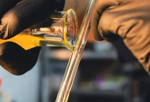 dosage for cbd tincture for beginners: a complete review