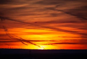 environmental toxins for unlocking wellness: the undeniable benefits of a low-tox life