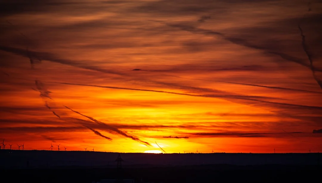 environmental toxins for unlocking wellness: the undeniable benefits of a low-tox life
