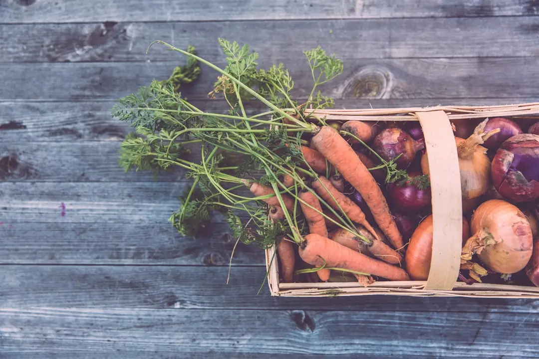 Gut health in Recharge Your Body: Healthy Ways to Detox in 2025 gut health for recharge your body: healthy ways to detox in 2025