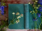 herbal for find calm naturally: exploring herbs beyond cbd