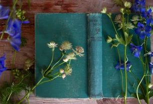 herbal for find calm naturally: exploring herbs beyond cbd