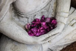 mindfulness for find your calm: sustainable ways to reduce stress