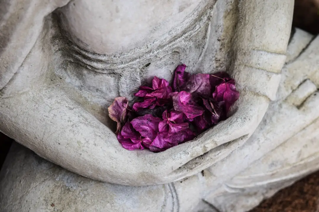 mindfulness for find your calm: sustainable ways to reduce stress