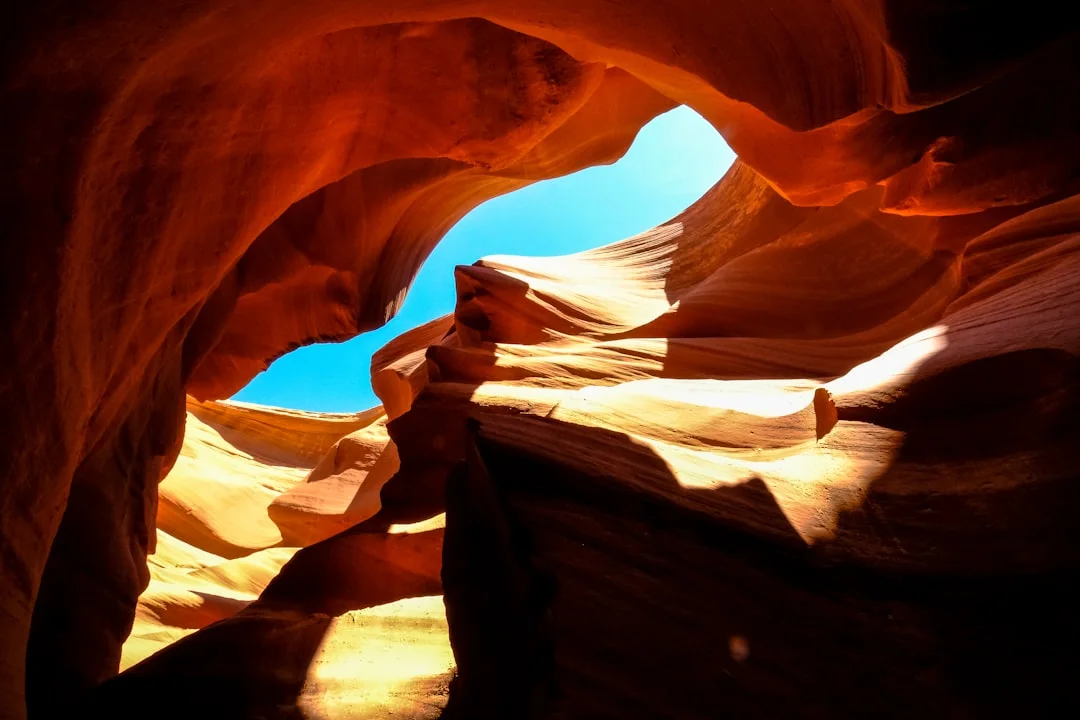 natural anxiety remedies for unlocking calm: discovering the best cbd oil for anxiety in 2025