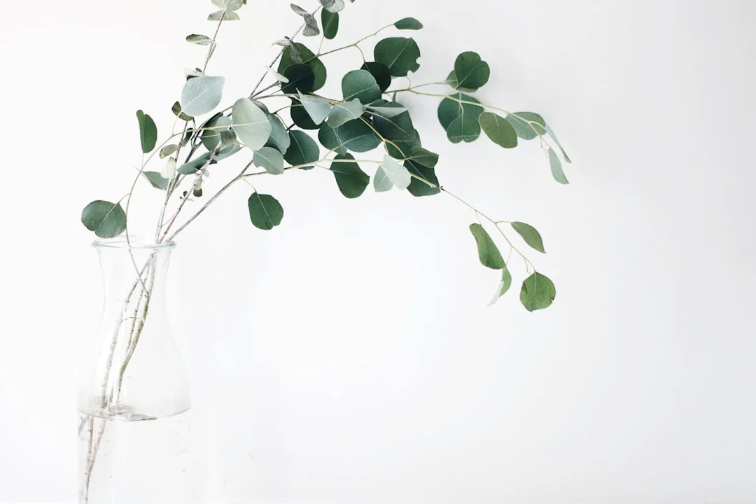 Natural cleaning ingredients in Making the Simple Switch to Natural Cleaning Products natural cleaning ingredients for making the simple switch to natural cleaning products