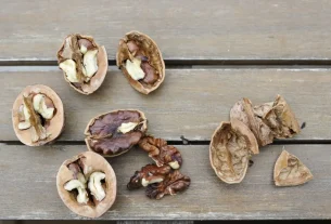 natural foods for unlock delicious & easy: healthy meal prep with natural ingredients