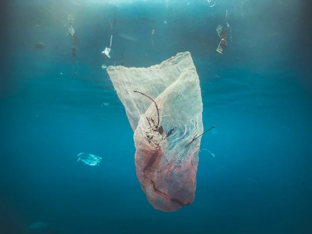 reduce plastic for bathroom revolution: ditching plastic for a healthier home
