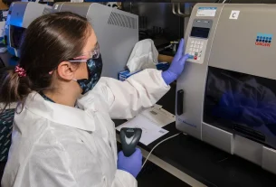 tests for cbd and drug tests: will it show up?
