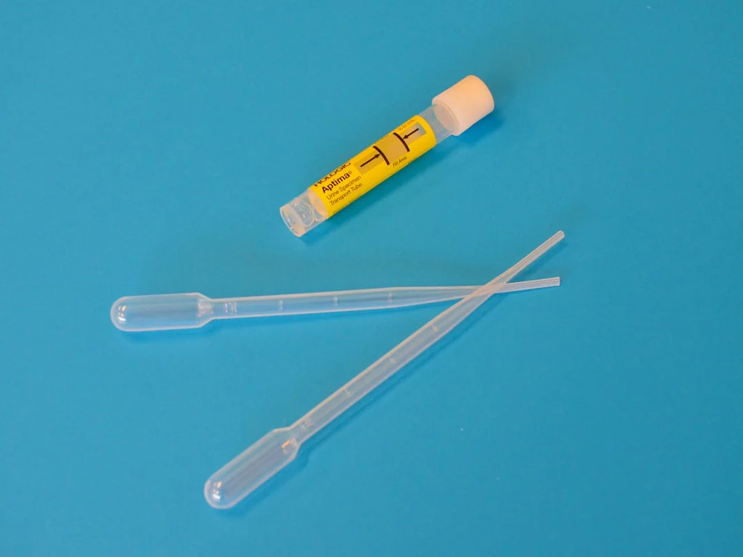Urine in How Long Does CBD Stay in Your System? Unpacking the Facts urine for how long does cbd stay in your system? unpacking the facts