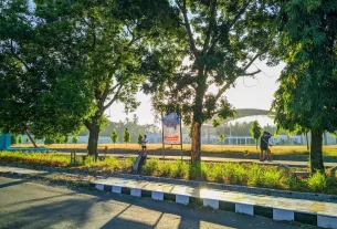 daily for decoding dinner: my totally relatable guide on how to read...