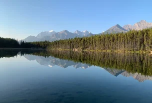 improve for unlock your inner wellness: what to eat to improve gut...