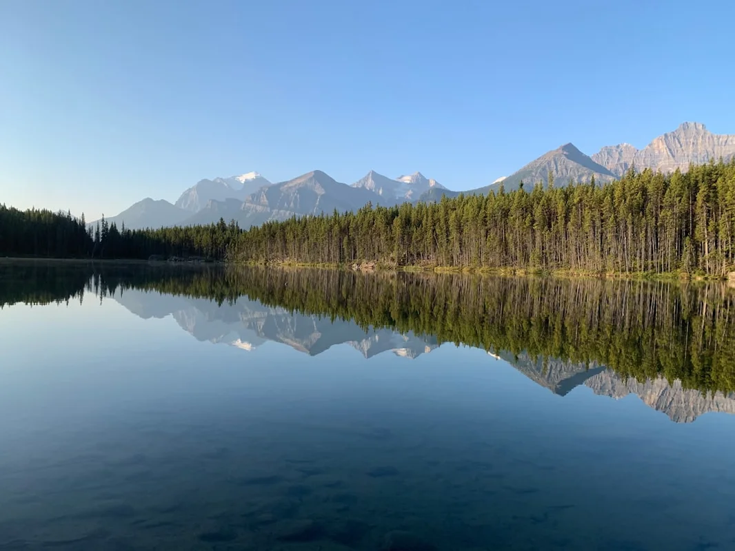 improve for unlock your inner wellness: what to eat to improve gut...